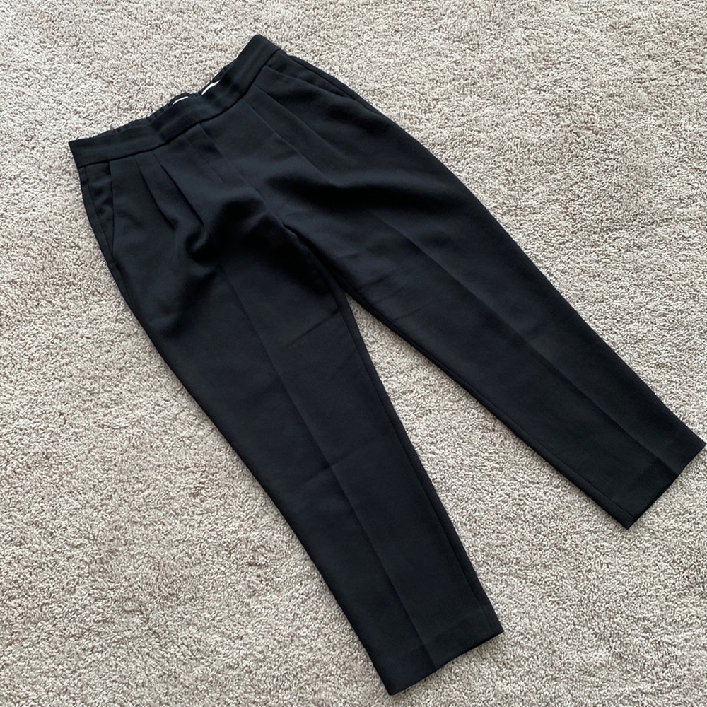 Aritzia Babaton Cohen Pant